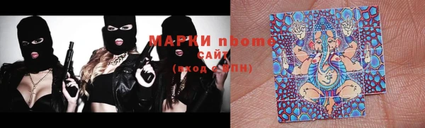 индика Новодвинск