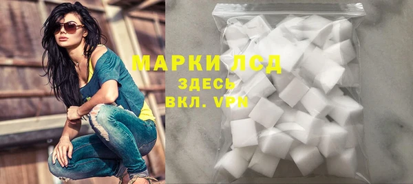 индика Новодвинск