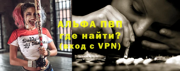 индика Новодвинск