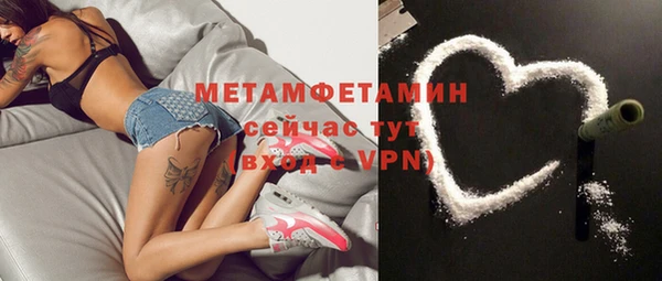 индика Новодвинск