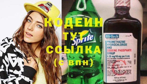 индика Новодвинск