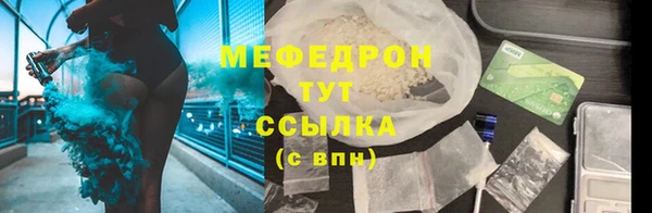 индика Новодвинск