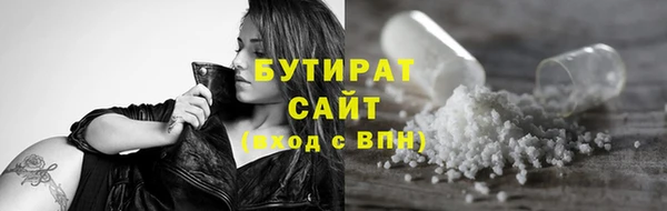 индика Новодвинск