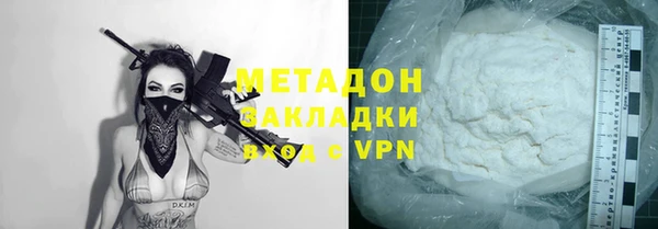 индика Новодвинск
