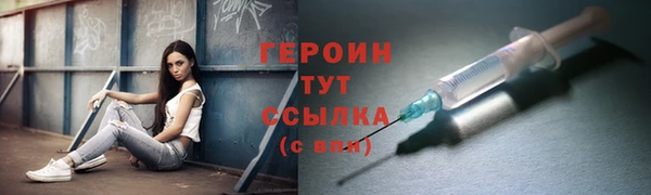 индика Новодвинск