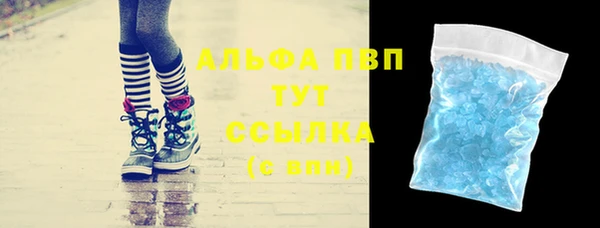 индика Новодвинск
