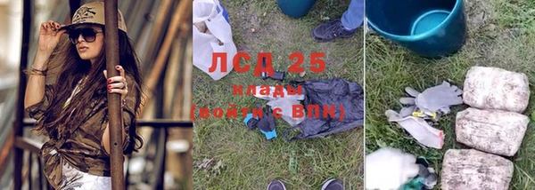 индика Новодвинск