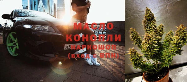 индика Новодвинск