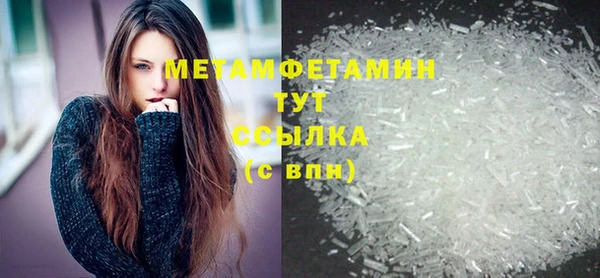 индика Новодвинск