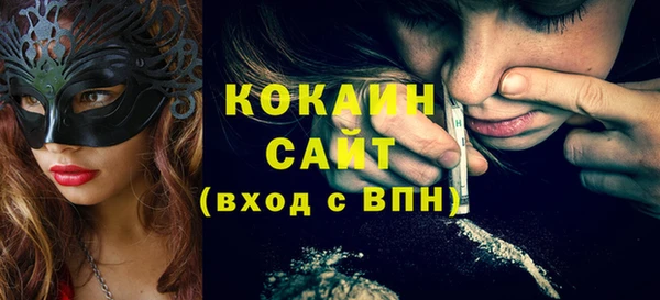 индика Новодвинск