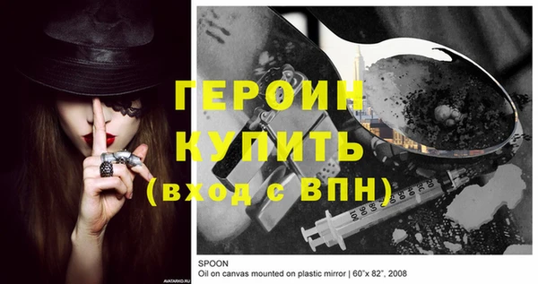 индика Новодвинск