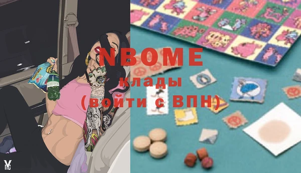 индика Новодвинск