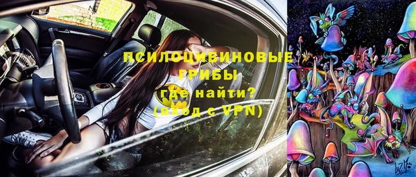 индика Новодвинск