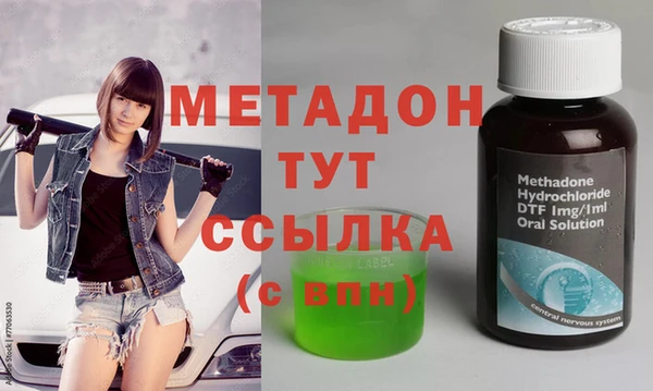 индика Новодвинск