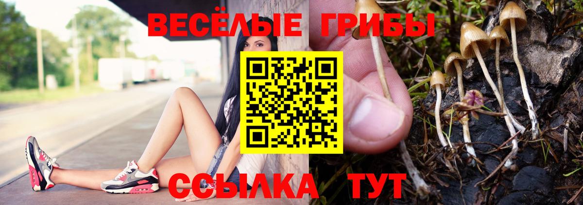 закладки  Псилоцибиновые грибы ЛСД  Галлюциногенные грибы мухоморы  Вход с VPN  Полысаево 