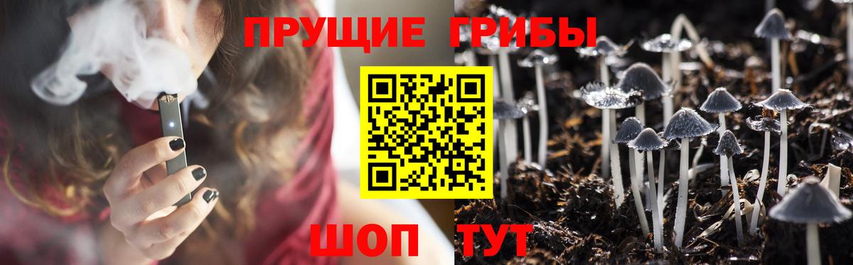 Галлюциногенные грибы MAGIC MUSHROOMS Полысаево